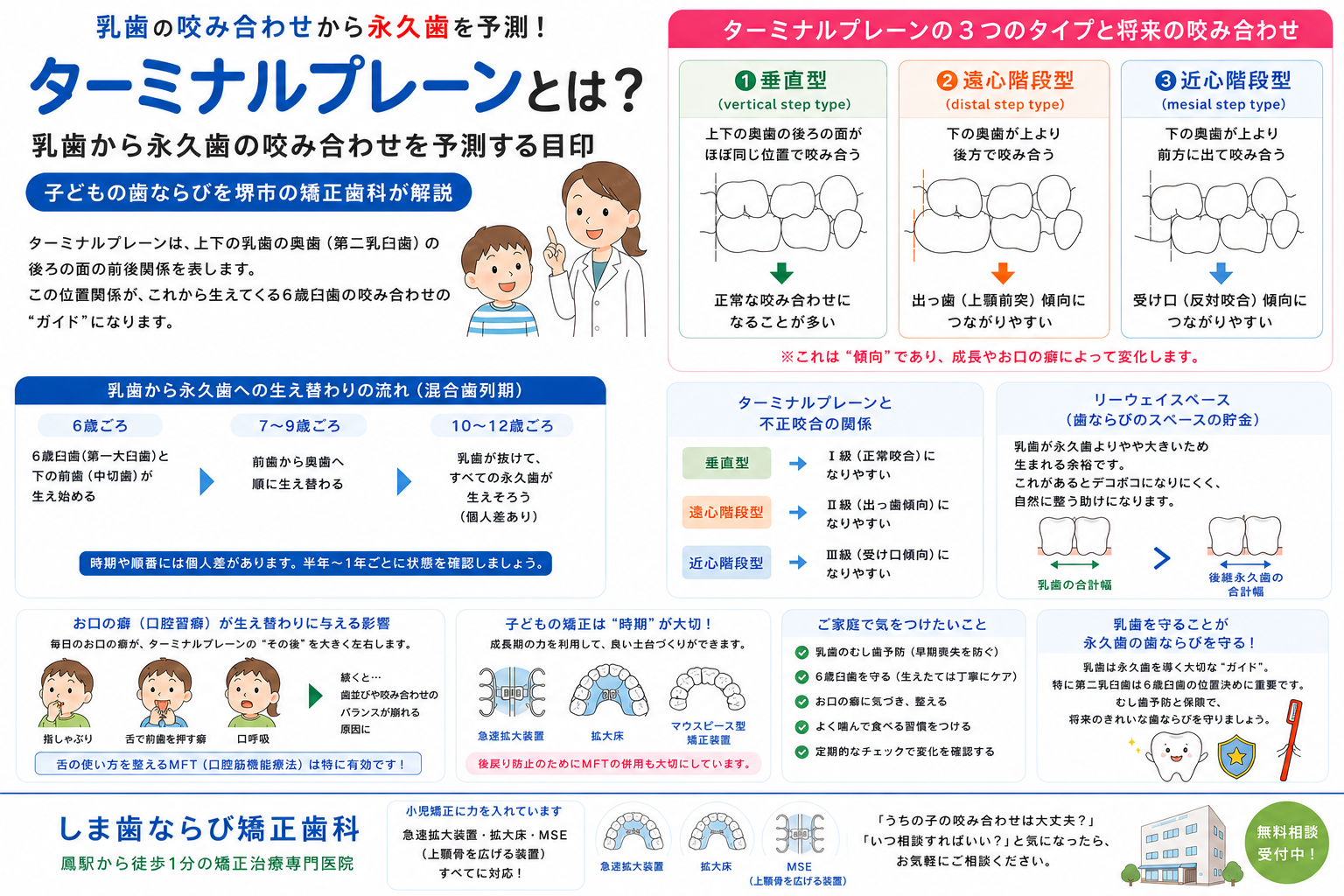 ターミナルプレーンとは？乳歯から永久歯の咬み合わせを予測｜子どもの